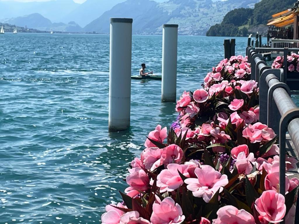 Seehotel Schwert Gersau Bagian luar foto