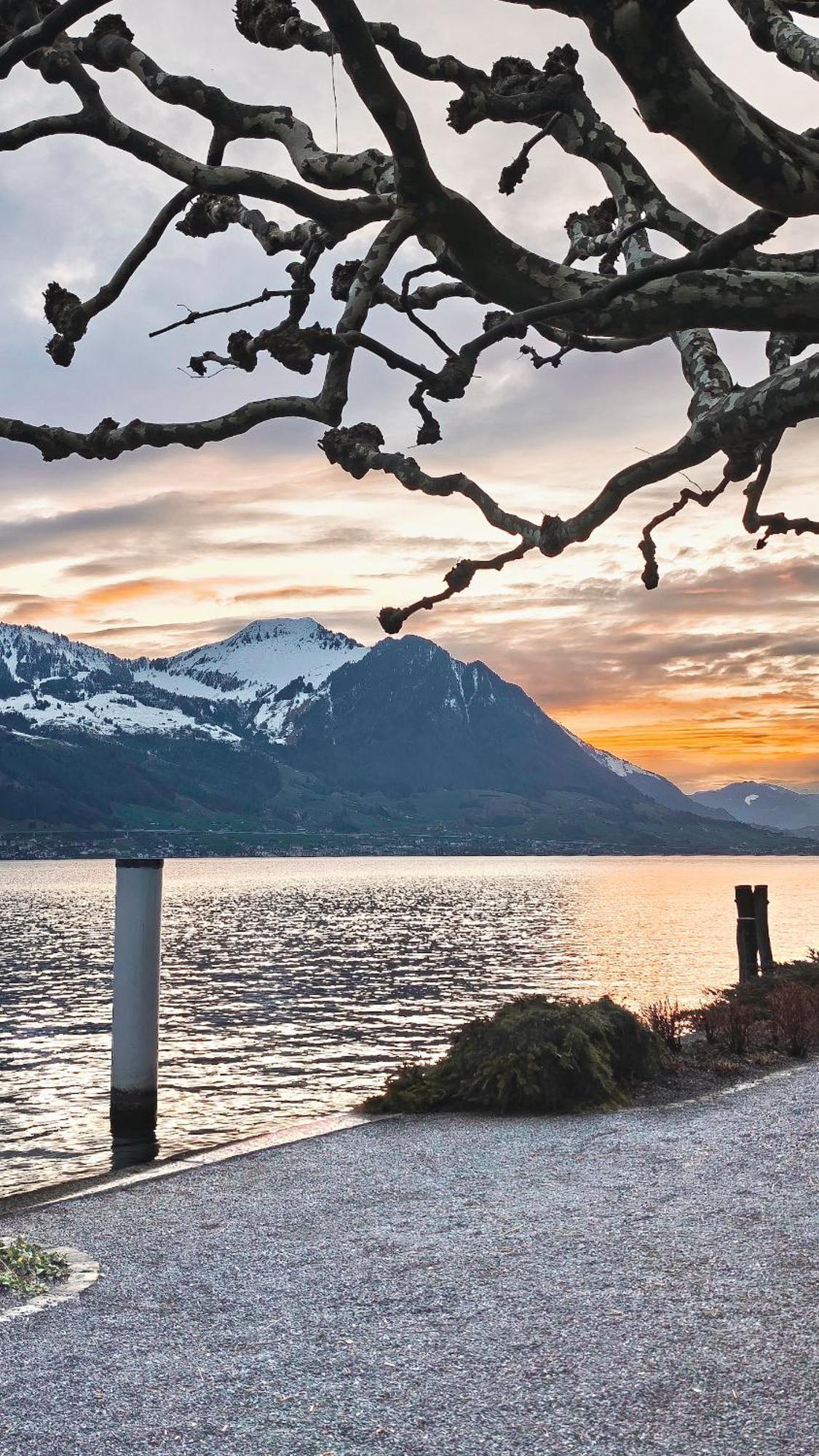 Seehotel Schwert Gersau Bagian luar foto