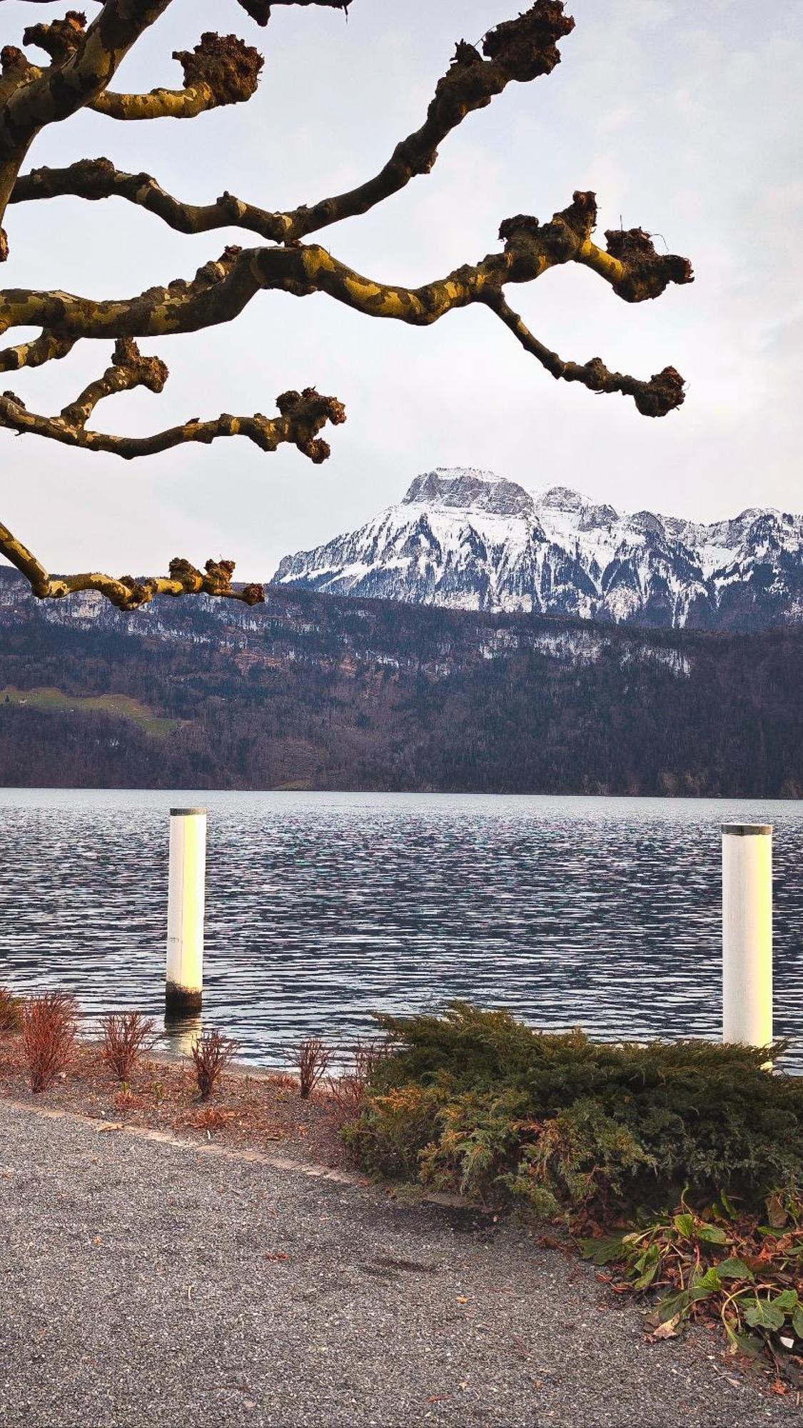 Seehotel Schwert Gersau Bagian luar foto